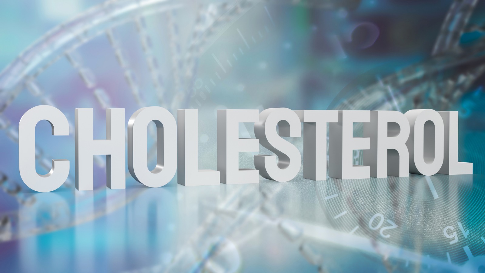 whatsapp image 2025 11 10 at 07.56.25 (1)