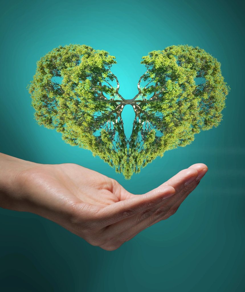 whatsapp image 2025 11 21 at 08.41.09