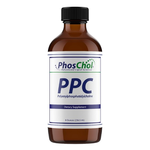 whatsapp image 2025 11 19 at 08.14.19 removebg preview